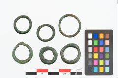 Foto von Bronzering (NHMW-PRAE-025189)